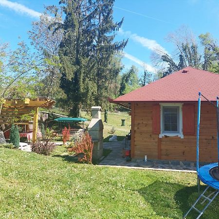 Brvnara Kraj Dunava Zelena Oaza Banostor Exterior photo