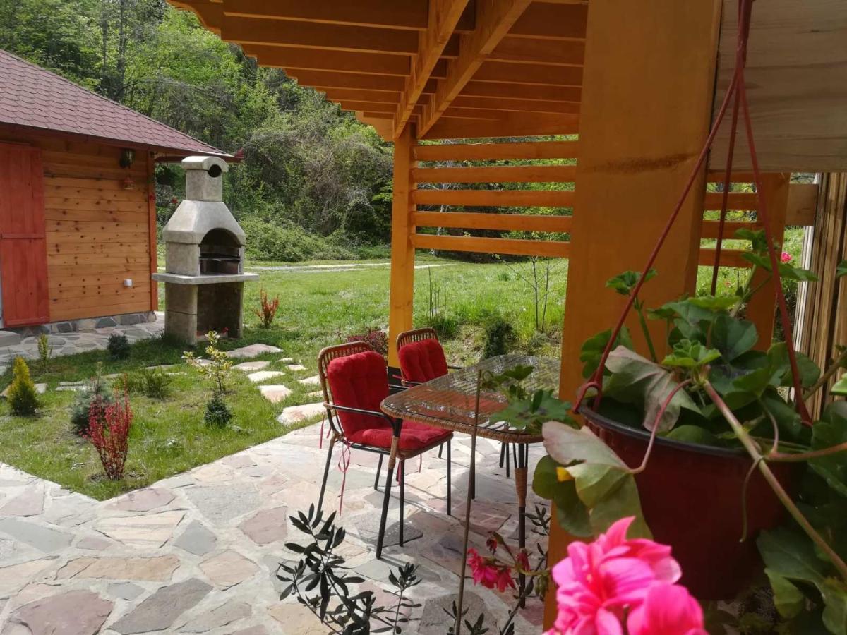 Brvnara Kraj Dunava Zelena Oaza Banostor Exterior photo