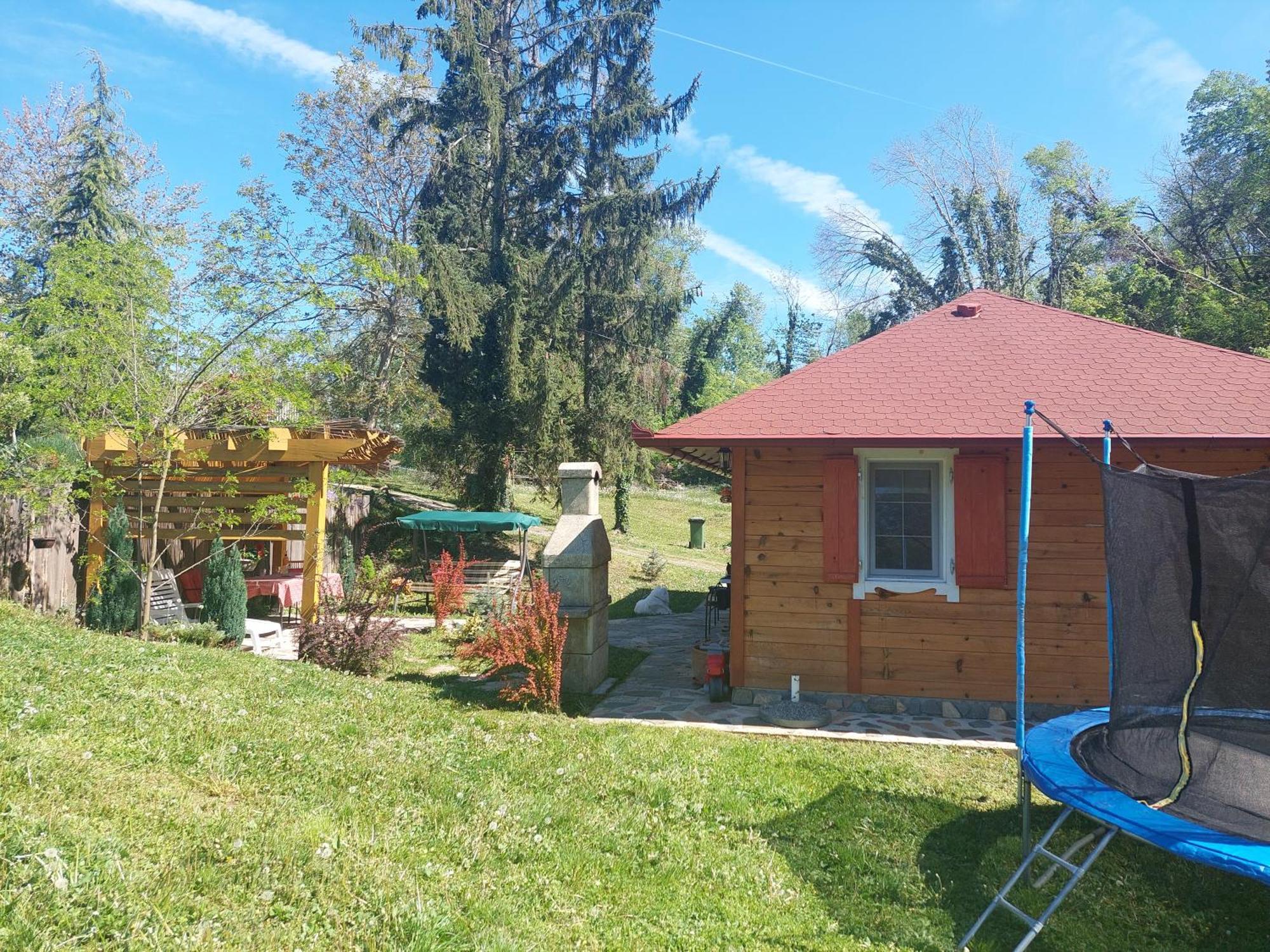 Brvnara Kraj Dunava Zelena Oaza Banostor Exterior photo